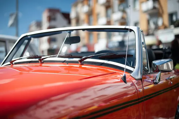 كازينو سلوتيلدا وورلد تطبيق أندرويد/آي أو إس